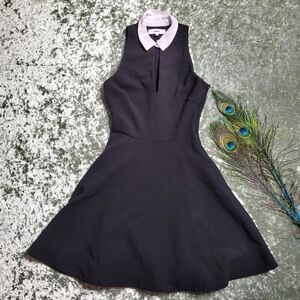 Likely Fit & Flare White Collar Black Dress